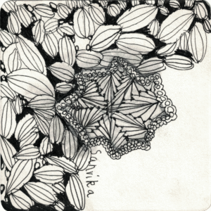 Coaster Square